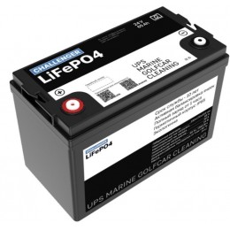 Аккумулятор Rein 24-50 LFP (Bluetooth)