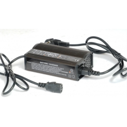 Зарядное устройство Everest Energy 24-8