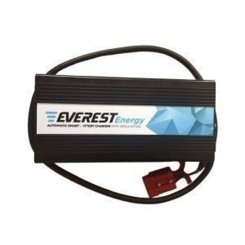 Зарядное устройство Everest Energy EVE 24-20