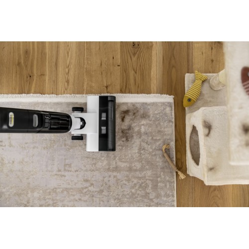 Моющий пылесос Karcher FCV 3 Natural N