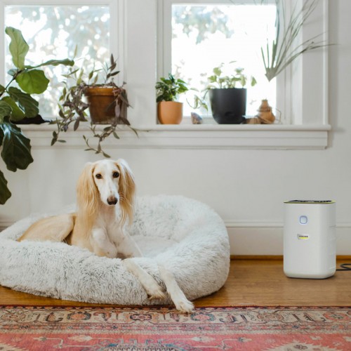 Очиститель воздуха Karcher AF 20