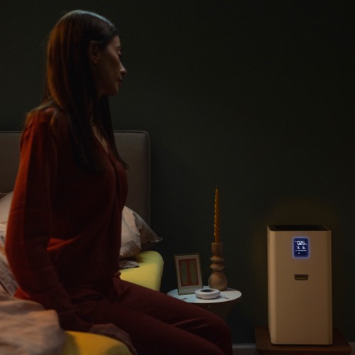 Очиститель воздуха Karcher AF 30