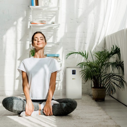 Очиститель воздуха Karcher AF 30